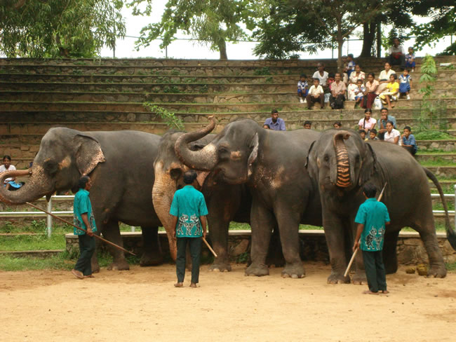Dehiwala Zoo